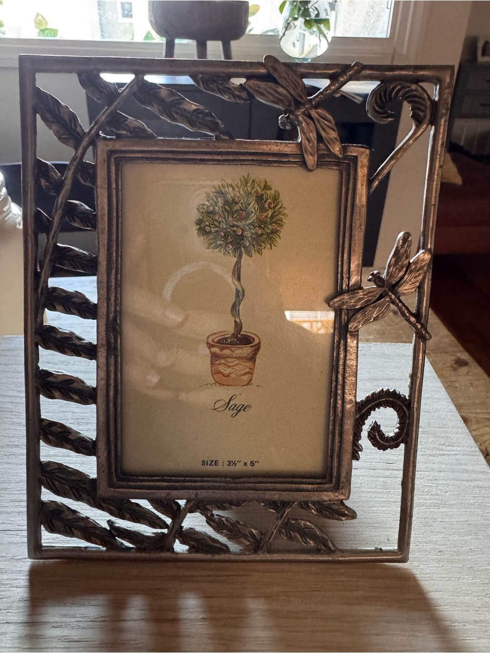 Decorative Dragonfly Metal Picture Frame in Antique Bronze Finish